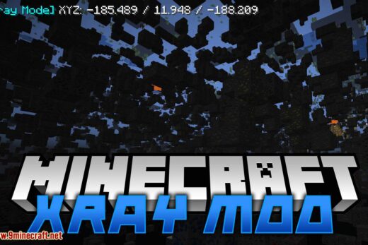 Xray Mod for minecraft logo