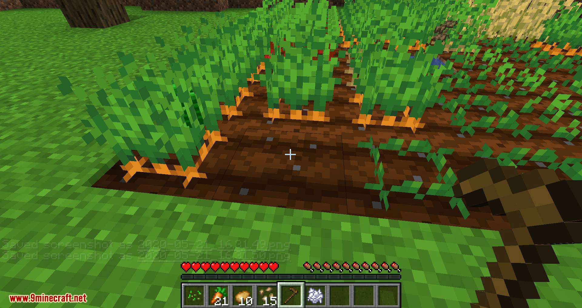 Mod de replantación de cultivos para Minecraft 11