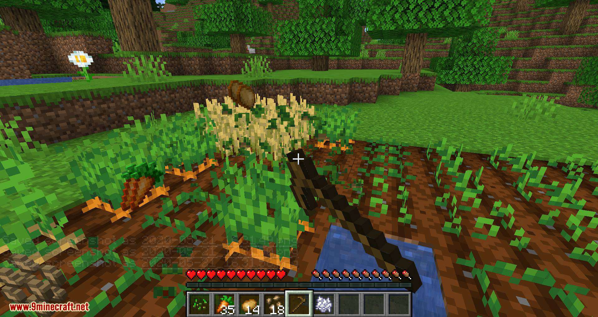 Mod de replantación de cultivos para Minecraft 12