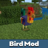 Bird Mod for Minecraft PE