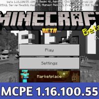 Minecraft PE 1.16.100.55
