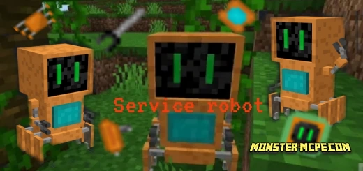 Service Robot Add-on
