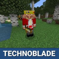 Paquete de recursos de Technoblade para Minecraft PE