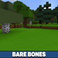 Paquete de texturas Bare Bones para Minecraft PE