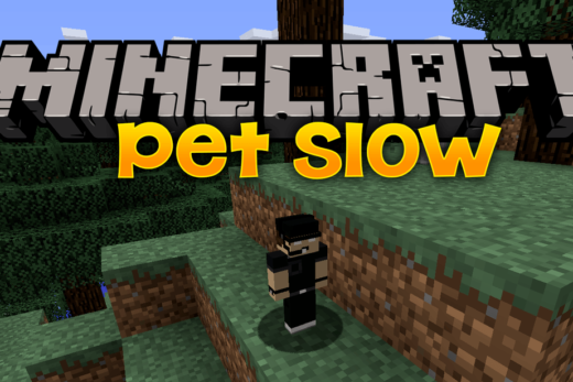 Pet Slow mod for minecraft logo