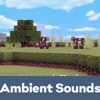 Sonidos ambientales Mod para Minecraft PE